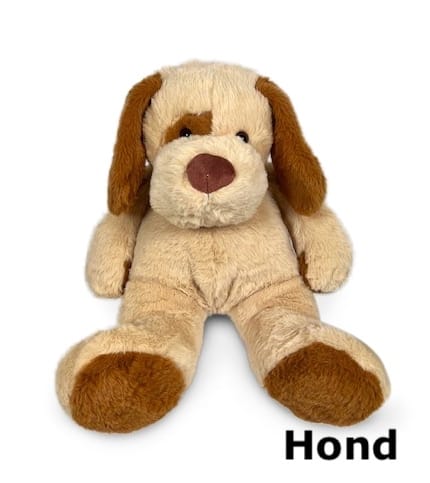 hond