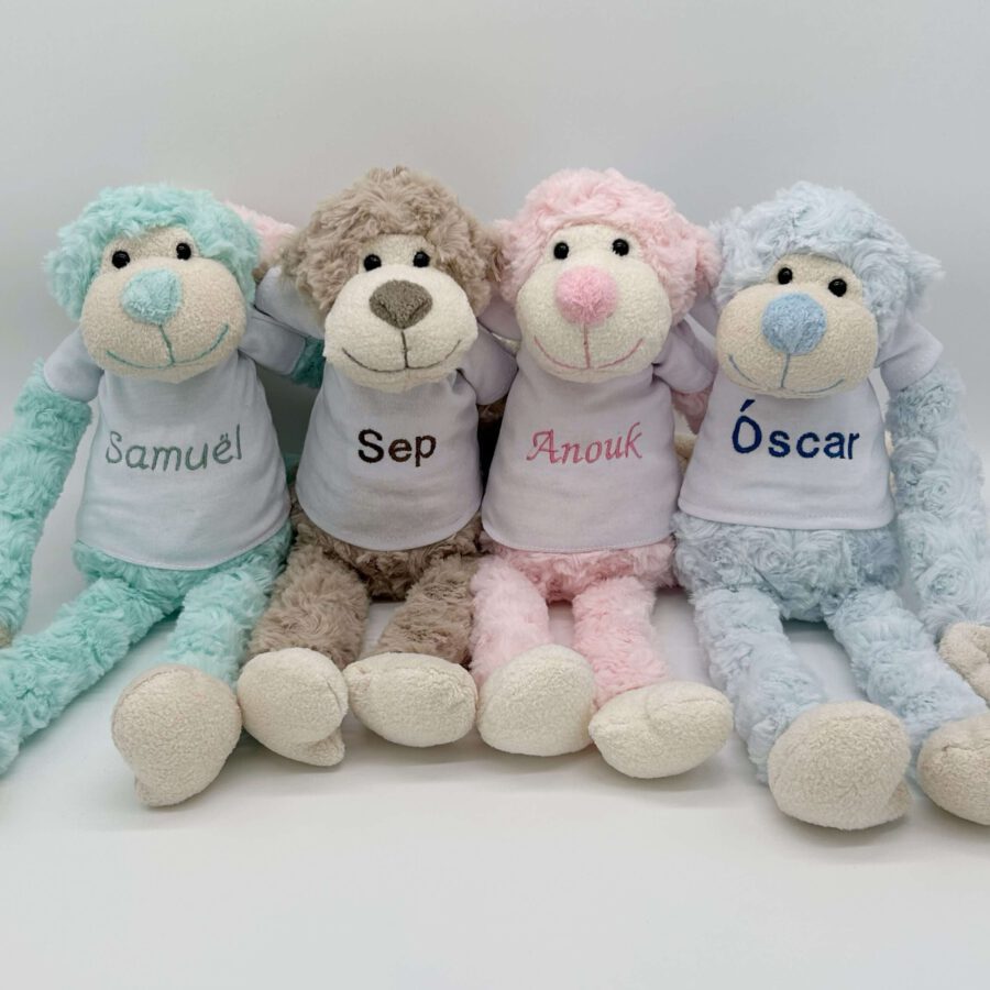 slingeraapje blauw, bruin, roze en mint groen met naam op t-shirt
